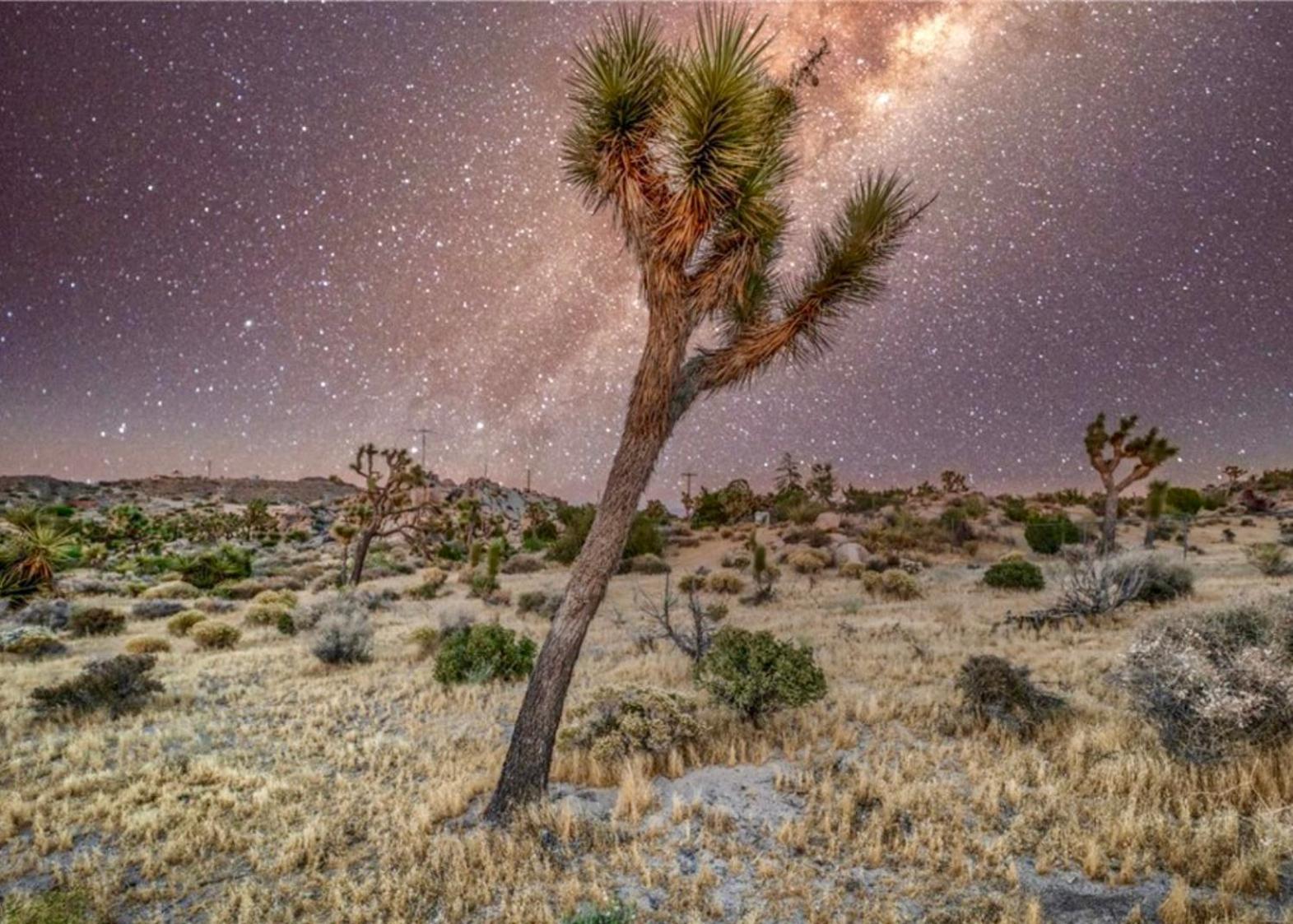 Twin Palms Desert Getaway - Jacuzzi, Fire Pit, Meditation Room & More Джошуа-Трі Екстер'єр фото